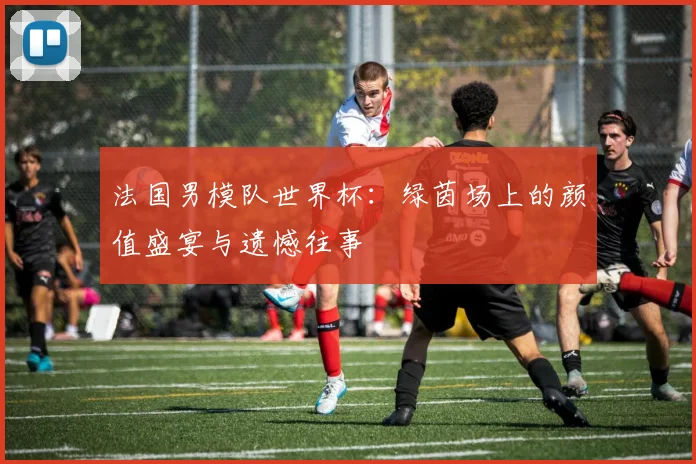 法国男模队世界杯：绿茵场上的颜值盛宴与遗憾往事